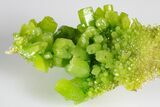 Apple-Green Pyromorphite Crystal Cluster - China #179809-2
